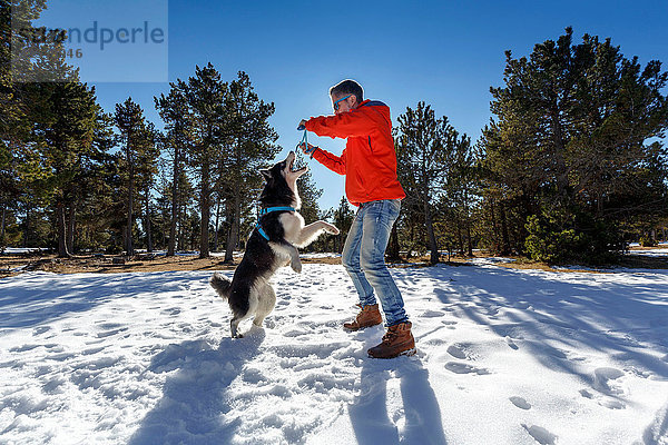 Erwachsener Mann spielt mit Hund im verschneiten Wald
