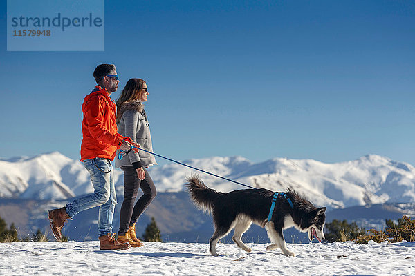 Paar Spaziergangshunde in schneebedeckter Berglandschaft