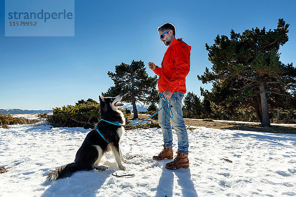 Ausgewachsener Mann trainiert Hund in schneebedeckter Landschaft