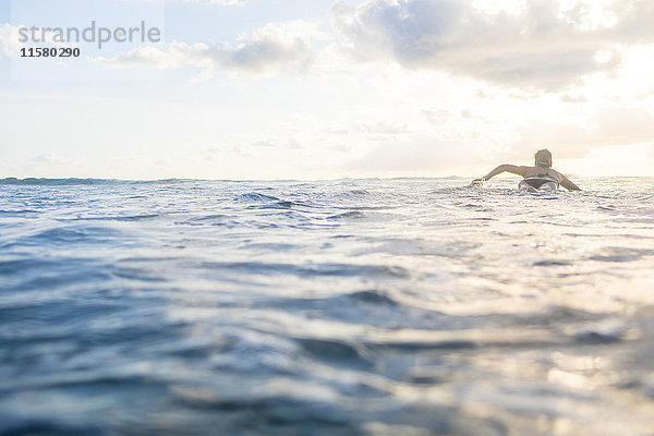 Rückansicht einer Frau  die auf einem Surfbrett im Meer paddelt  Nosara  Provinz Guanacaste  Costa Rica
