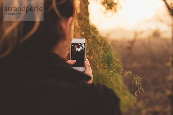 Über-Schulter-Ansicht einer Frau im Wald  die auf ein Smartphone schaut