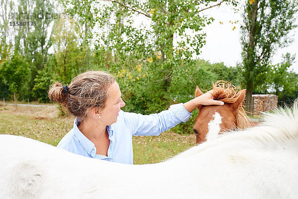 Frau streichelt auf dem Feld die Stirnlocke eines Pferdes