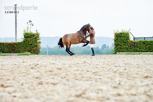 Dressurreiterin auf Hinterbeinen im Reitsport