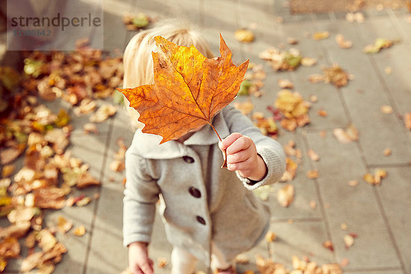 Mädchen hält Herbstblatt vor dem Gesicht