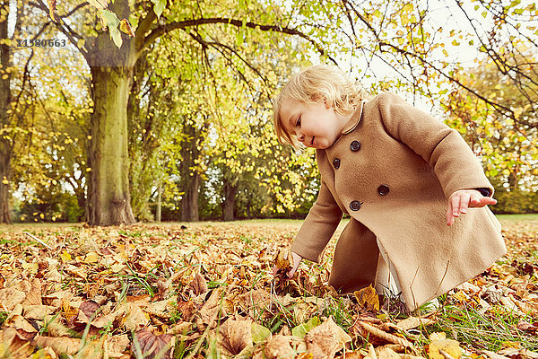 Mädchen hebt Herbstlaub auf