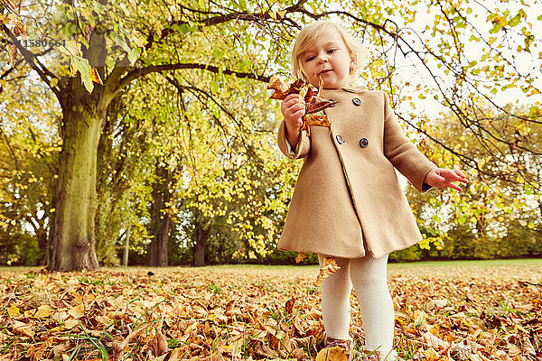 Mädchen hebt Herbstlaub auf