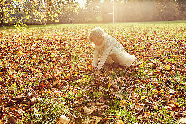 Mädchen hebt Herbstlaub auf