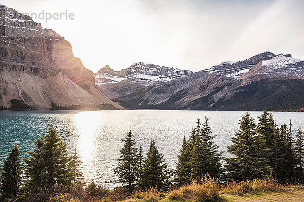 Icefields Parkway  Highway 93  Lake Louise  Alberta  Kanada