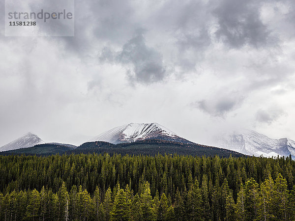 Kananaskis Country  Bow Valley Provincial Park  Kananaskis  Alberta  Kanada