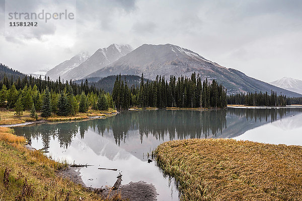 Kananaskis Country  Bow Valley Provincial Park  Kananaskis  Alberta  Kanada