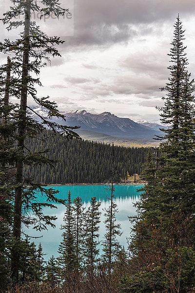 Lake Louise  Alberta  Kanada