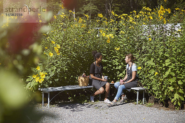 Floristinnen kommunizieren mit Pflanzen