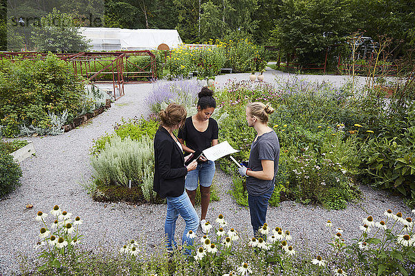 Hoher Blickwinkel auf die kommunizierenden Architekten im Gemeinschaftsgarten