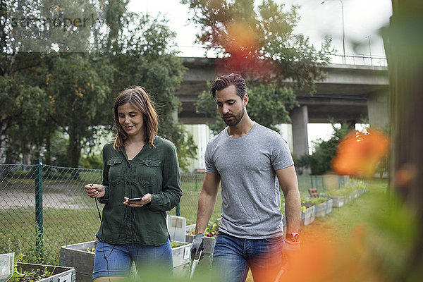 Mittleres erwachsenes Paar beim Spaziergang im Gemeinschaftsgarten