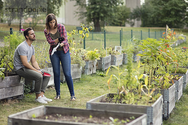 Mittleres erwachsenes Paar diskutiert über Pflanzen im Stadtgarten