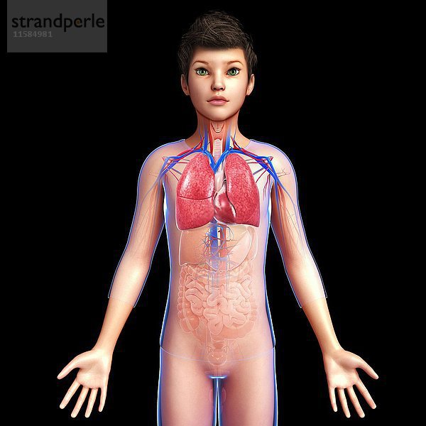 Illustration des Atmungssystems eines Teenagers.