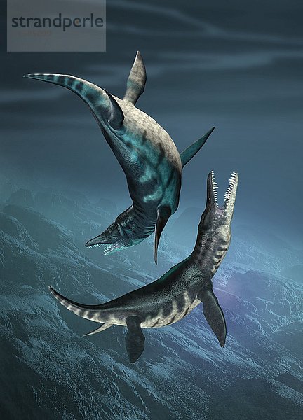Liopleurodon  prähistorische Meeresreptilien  Illustration.