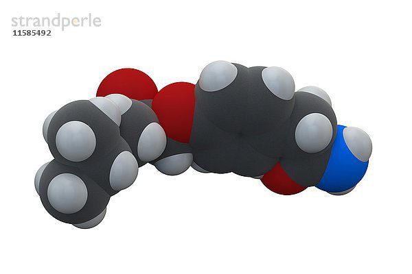 Atenolol Hypertonie (Bluthochdruck) Medikament (Betablocker) Molekül. Die chemische Formel lautet C14H22N2O3. Die Atome sind als Kugeln dargestellt: Kohlenstoff (grau)  Wasserstoff (weiß)  Stickstoff (blau)  Sauerstoff (rot). Illustration.