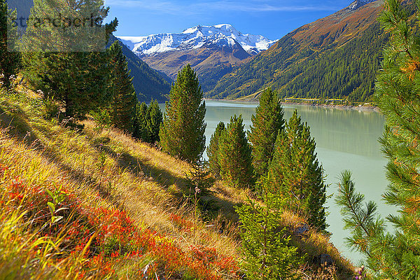 Gepatschstausee und Weißseespitze  Ötztaler Alpen  Tirol  Österreich  Europa