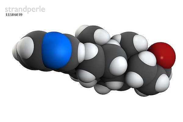 Abirateron Prostatakrebs Medikament Molekül. Die chemische Formel lautet C24H31NO. Die Atome sind als Kugeln dargestellt: Kohlenstoff (grau)  Wasserstoff (weiß)  Stickstoff (blau)  Sauerstoff (rot). Illustration.