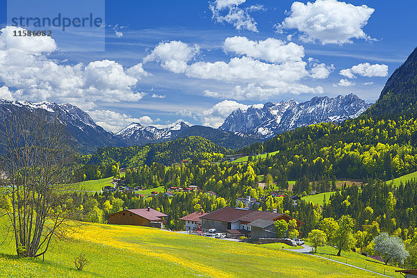 Thierseetal im Frühling  Tirol  Österreich  Europa