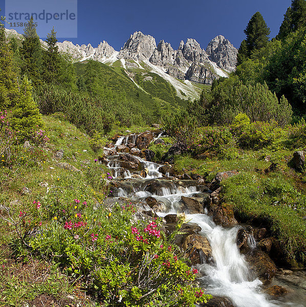 Kemater Alm und Kalkkoegel  Stubaier Alpen  Tirol  Österreich  Europa