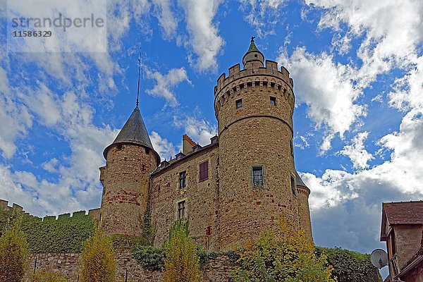 Château de La Palice  Auvergne-Rhône-Alpes  Frankreich  Europa