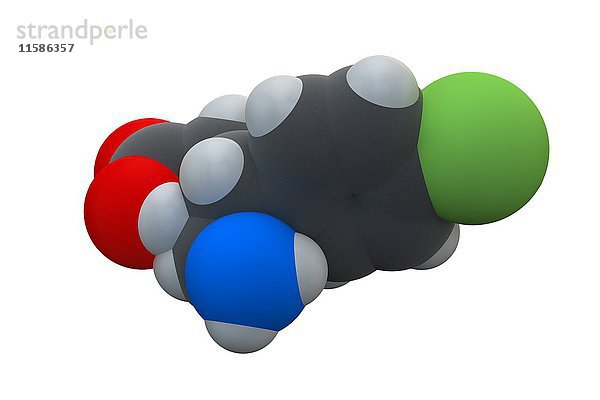 Baclofen ist ein muskelentspannendes Medikament. Dieses Medikament wirkt durch die Aktivierung von GABA-Rezeptoren. Es wird zur Behandlung von spastischen Bewegungsstörungen einschließlich zerebraler Lähmung und Multipler Sklerose eingesetzt. Die chemische Formel lautet C10H12ClNO2. Die Atome sind als Kugeln dargestellt: Kohlenstoff (grau)  Wasserstoff (weiß)  Chlor (grün)  Stickstoff (blau)  Sauerstoff (rot). Illustration.