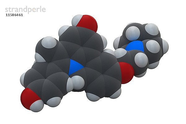 Bazedoxifen Medikamentenmolekül zur Vorbeugung von Osteoporose in der Postmenopause. Selektiver Östrogenrezeptor-Modulator (SERM). Die chemische Formel lautet C30H34N2O3. Die Atome sind als Kugeln dargestellt: Kohlenstoff (grau)  Wasserstoff (weiß)  Stickstoff (blau)  Sauerstoff (rot). Illustration.