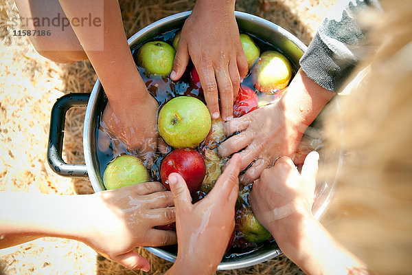 Menschen waschen Äpfel