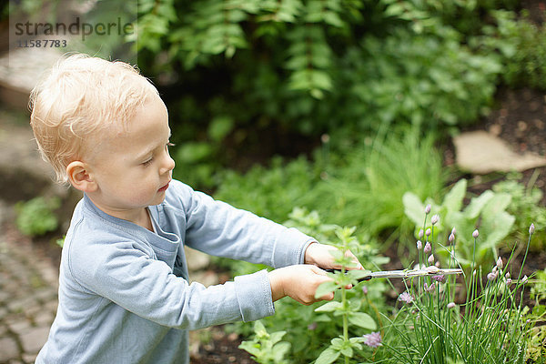 Kleinkind Junge beschneidet Pflanzen im Hinterhof