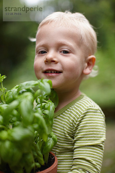 Kleinkind Junge trägt Topfpflanze