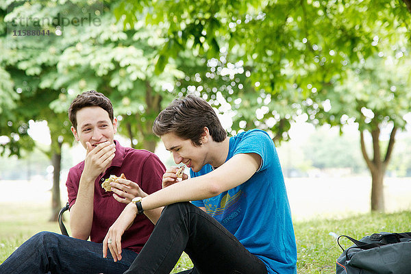 Männer beim Picknick im Park