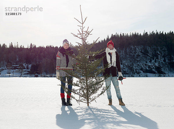 Paar mit Weihnachtsbaum