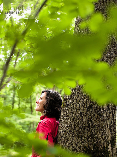 Frau ruht auf einem Baum - Nahaufnahme