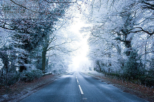 Landstraße im Winter