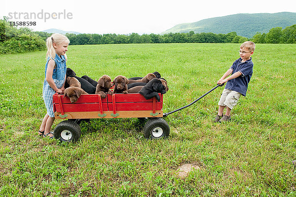 Kinder  die Welpen in einem Waggon ziehen