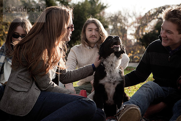 Freunde auf dem Rasen beim Spielen mit Hund