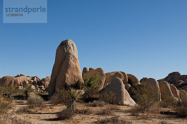 Felsformation  Joshua-Tree-Nationalpark  Mojave-Wüste  Kalifornien  USA