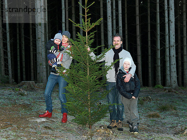 Familie mit Weihnachtsbaum