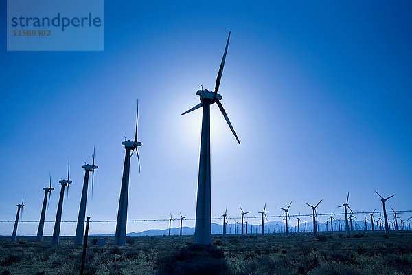 Windturbinen zur Stromerzeugung