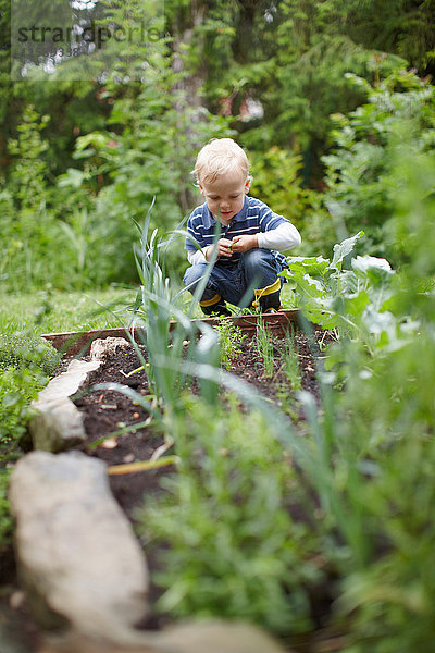 Kleinkind untersucht Pflanzen im Hinterhof