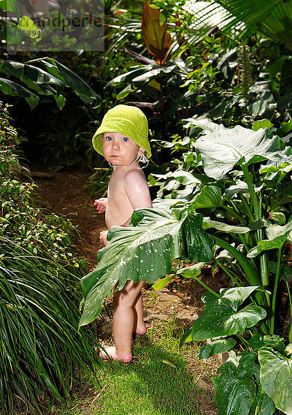 Kleiner Junge steht im Dschungel der Pflanzen