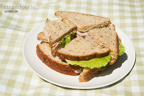 Teller mit Sandwiches auf Picknickdecke