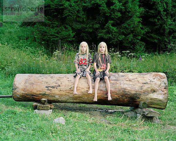 Zwillingsbrüder auf einem Baumstamm  Nowica  Polen