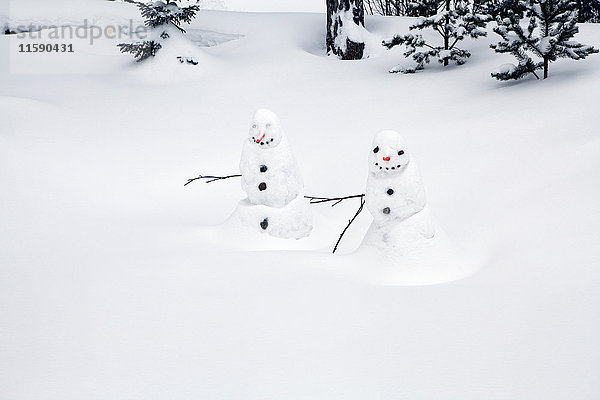 Zwei glückliche Schneemänner in Winterlandschaft