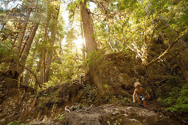 Junge klettert im Wald über Felsen