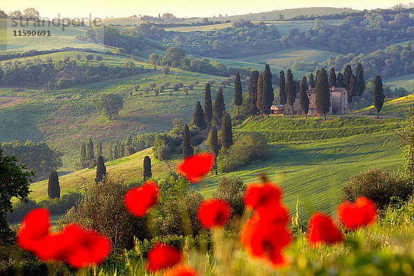 Orcia-Tal im Frühling