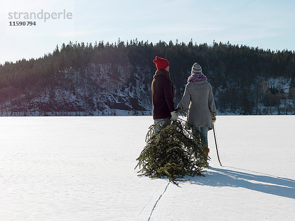 Paar mit Weihnachtsbaum