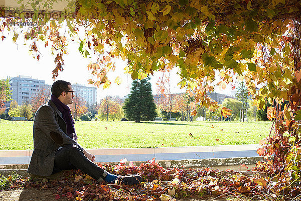Mann sitzt im Herbstlaub im Park